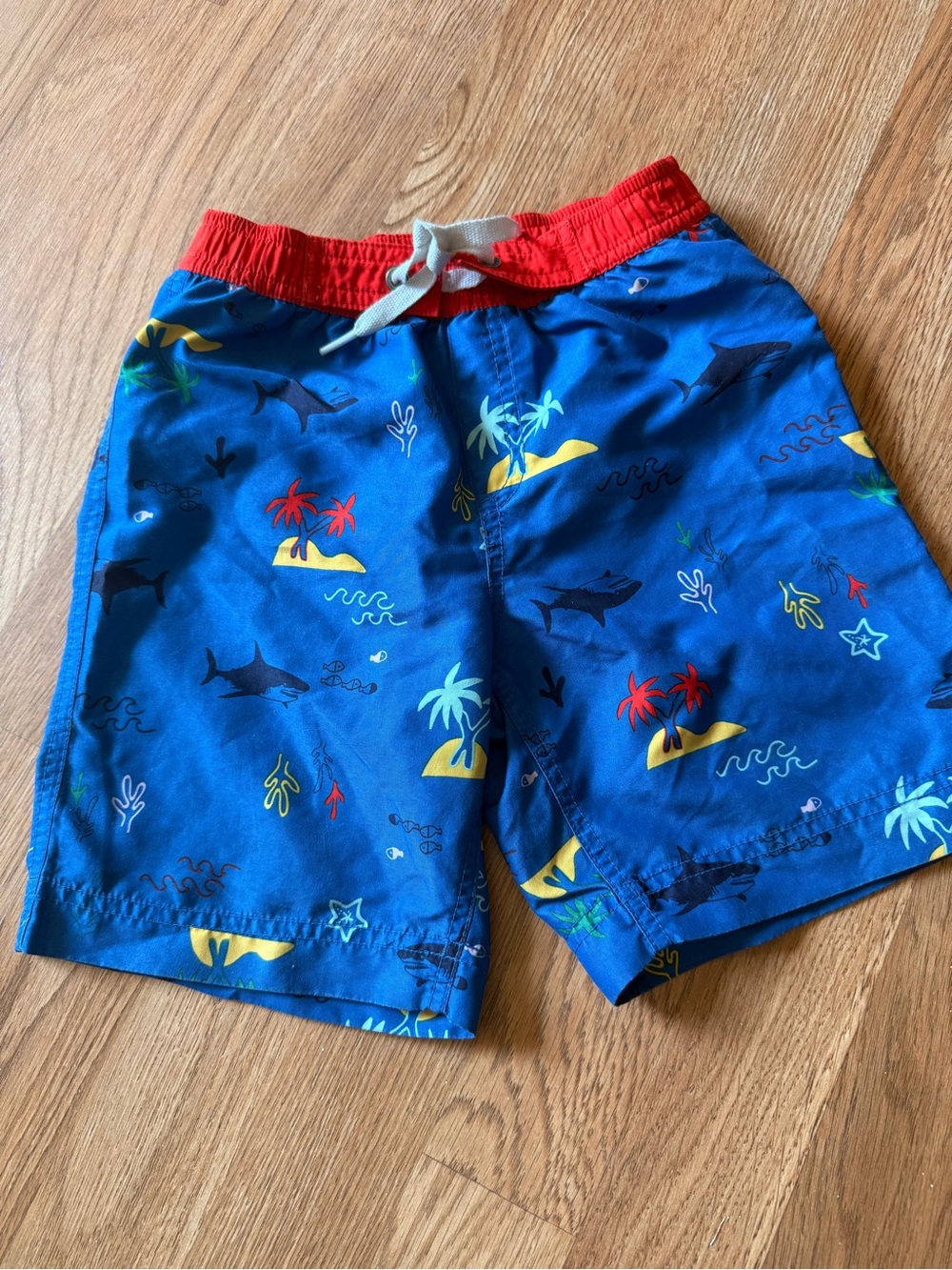 Hanna Andersson Kids Swim Shorts with Drawstring 4 Shark